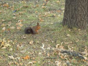 <img300*0:stuff/z/1/JuanSandraBD/dsc03142.jpg>