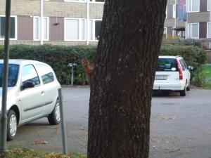 <img300*0:stuff/z/1/JuanSandraBD/dsc03143.jpg>