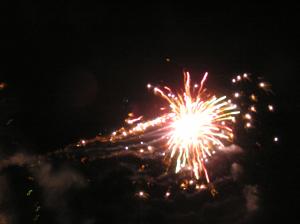 <img300*0:stuff/z/1/Jul2007/p1010061.jpg>
