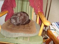 <img200*0:stuff/z/1/Julafton2009/DSC08009.JPG>