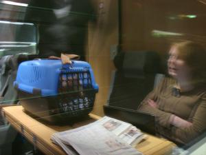 <img300*0:stuff/z/1/Julresa2008/i1230107827_14.jpg>