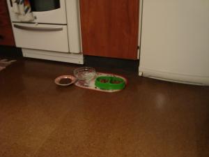 <img300*0:stuff/z/1/Julresa2008/i1230107827_7.jpg>