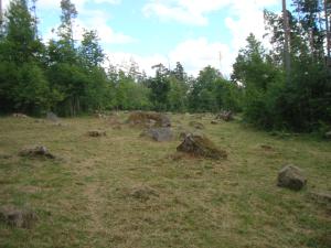 <img300*0:stuff/z/1/Jungle%2520Catwalk/DSC01482.JPG>