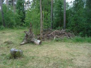 <img300*0:stuff/z/1/Jungle%2520Catwalk/DSC01483.JPG>