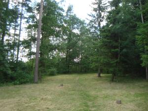 <img300*0:stuff/z/1/Jungle%2520Catwalk/DSC01484.JPG>