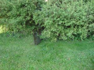 <img300*0:stuff/z/1/Kali-Copy/DSC04912.JPG>