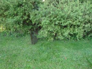 <img300*0:stuff/z/1/Kali-Copy/DSC04913.JPG>
