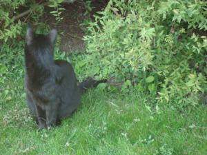 <img300*0:stuff/z/1/Kali-Copy/DSC04914.JPG>