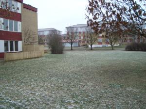 <img300*0:stuff/z/1/LARM2009/DSC00584.JPG>