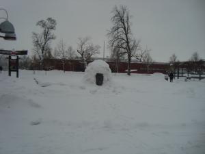 <img300*0:stuff/z/1/LARM2010/DSC08468.JPG>