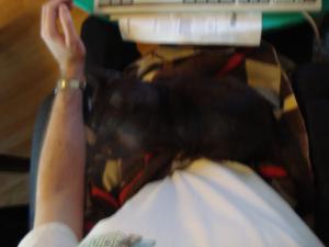 <img300*0:stuff/z/1/Lap-Lilo/DSC04920.JPG>