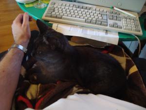 <img300*0:stuff/z/1/Lap-Lilo/DSC04921.JPG>