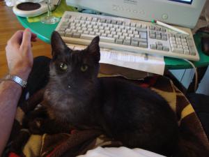 <img300*0:stuff/z/1/Lap-Lilo/DSC04922.JPG>