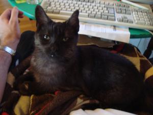 <img300*0:stuff/z/1/Lap-Lilo/DSC04923.JPG>