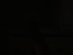 <img300*0:stuff/z/1/Lemans%2520Kravall/DSC06402.JPG>