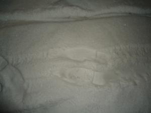 <img300*0:stuff/z/1/LiTHeBlasLuciafest/DSC07575.JPG>