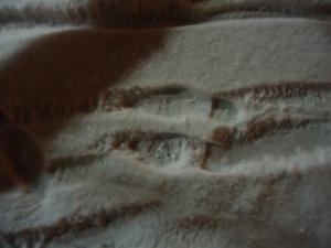 <img300*0:stuff/z/1/LiTHeBlasLuciafest/DSC07576.JPG>
