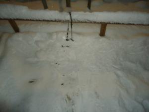 <img300*0:stuff/z/1/LiTHeBlasLuciafest/DSC07577.JPG>