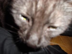 <img300*0:stuff/z/1/Lilo%2520Problem/DSC04626.JPG>