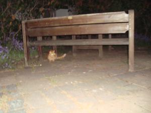 <img300*0:stuff/z/1/Lilo%2520and%2520Date/DSC01733.JPG>