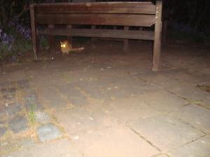 <img300*0:stuff/z/1/Lilo%2520and%2520Date/DSC01734.JPG>