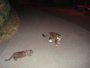 <img300*0:stuff/z/1/Lilo%2520and%2520Date/DSC01737.JPG>