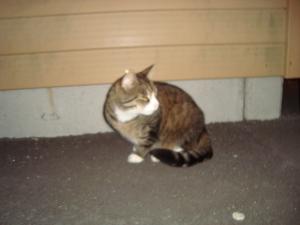<img300*0:stuff/z/1/Lilo%2520and%2520Date/DSC01738.JPG>
