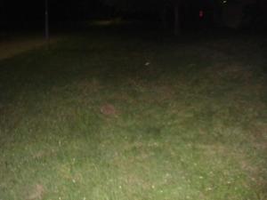 <img300*0:stuff/z/1/Lilo%2520and%2520Date/DSC01739.JPG>