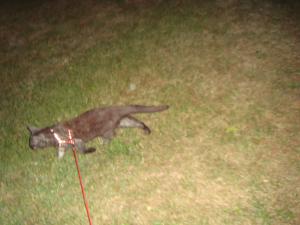 <img300*0:stuff/z/1/Lilo%2520and%2520Date/DSC01743.JPG>