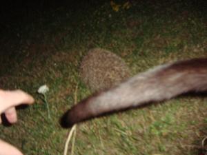 <img300*0:stuff/z/1/Lilo%2520and%2520Date/DSC01744.JPG>