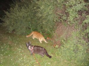 <img300*0:stuff/z/1/Lilo%2520and%2520Date/DSC01747.JPG>