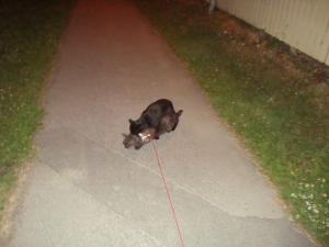 <img300*0:stuff/z/1/Lilo%2520and%2520Date/DSC01749.JPG>
