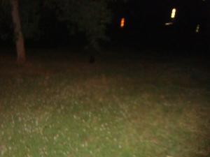 <img300*0:stuff/z/1/Lilo%2520and%2520Date/DSC01751.JPG>