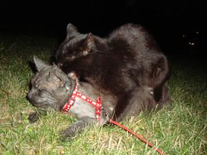 <img300*0:stuff/z/1/Lilo%2520and%2520Date/DSC01756.JPG>
