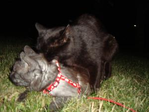 <img300*0:stuff/z/1/Lilo%2520and%2520Date/DSC01757.JPG>
