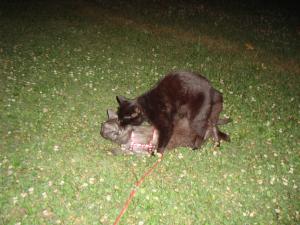 <img300*0:stuff/z/1/Lilo%2520and%2520Date/DSC01758.JPG>