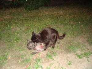 <img300*0:stuff/z/1/Lilo%2520and%2520Date/DSC01759.JPG>