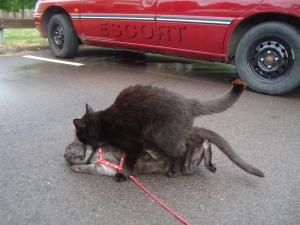 <img300*0:stuff/z/1/Lilo%2520and%2520Date/DSC01760.JPG>
