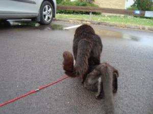 <img300*0:stuff/z/1/Lilo%2520and%2520Date/DSC01762.JPG>
