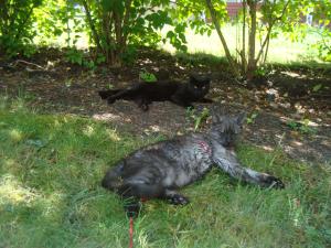 <img300*0:stuff/z/1/Lilo%2520and%2520Date/DSC01763.JPG>