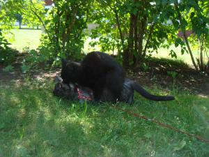 <img300*0:stuff/z/1/Lilo%2520and%2520Date/DSC01764.JPG>