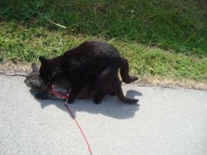 <img300*0:stuff/z/1/Lilo%2520and%2520Date/DSC01765.JPG>