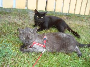 <img300*0:stuff/z/1/Lilo%2520and%2520Date/DSC01766.JPG>