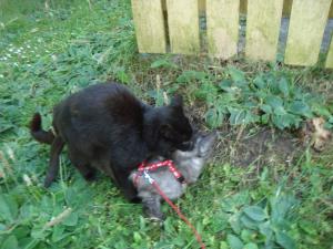<img300*0:stuff/z/1/Lilo%2520and%2520Date/DSC01767.JPG>