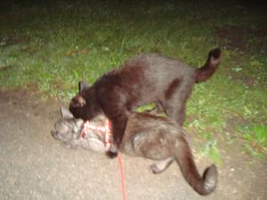 <img300*0:stuff/z/1/Lilo%2520and%2520Date/DSC01768.JPG>