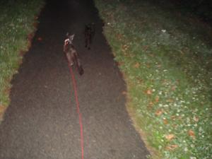 <img300*0:stuff/z/1/Lilo%2520and%2520Date/DSC01770.JPG>