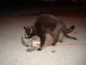 <img300*0:stuff/z/1/Lilo%2520and%2520Date/DSC01771.JPG>