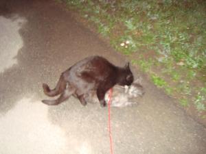 <img300*0:stuff/z/1/Lilo%2520and%2520Date/DSC01773.JPG>