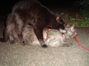 <img300*0:stuff/z/1/Lilo%2520and%2520Date/DSC01777.JPG>