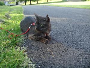 <img300*0:stuff/z/1/Lilo10years/DSC04456.JPG>